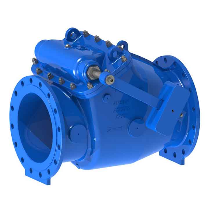 Swing check Valves