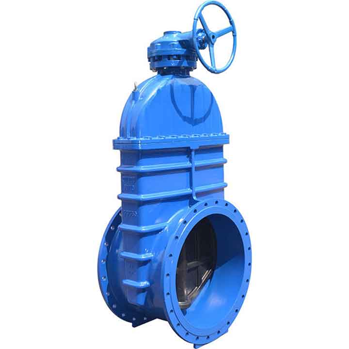 Resilient seated gate valve