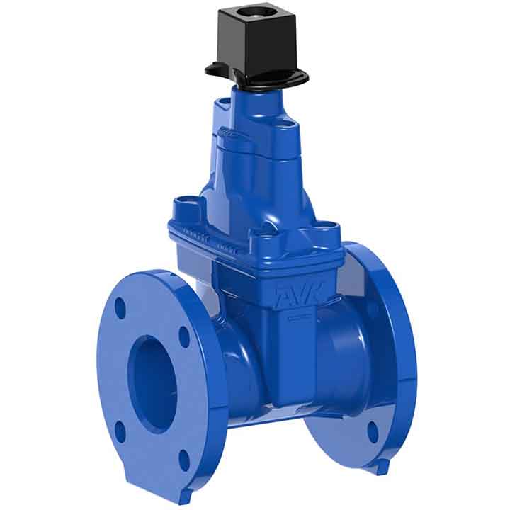 Flanged resilient seated wrench nut gate valve