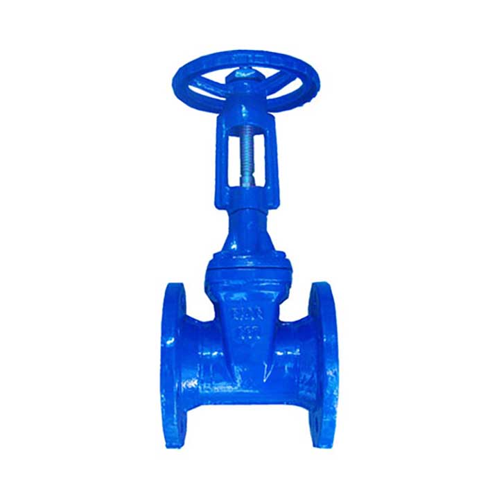 RSV Gate Valve