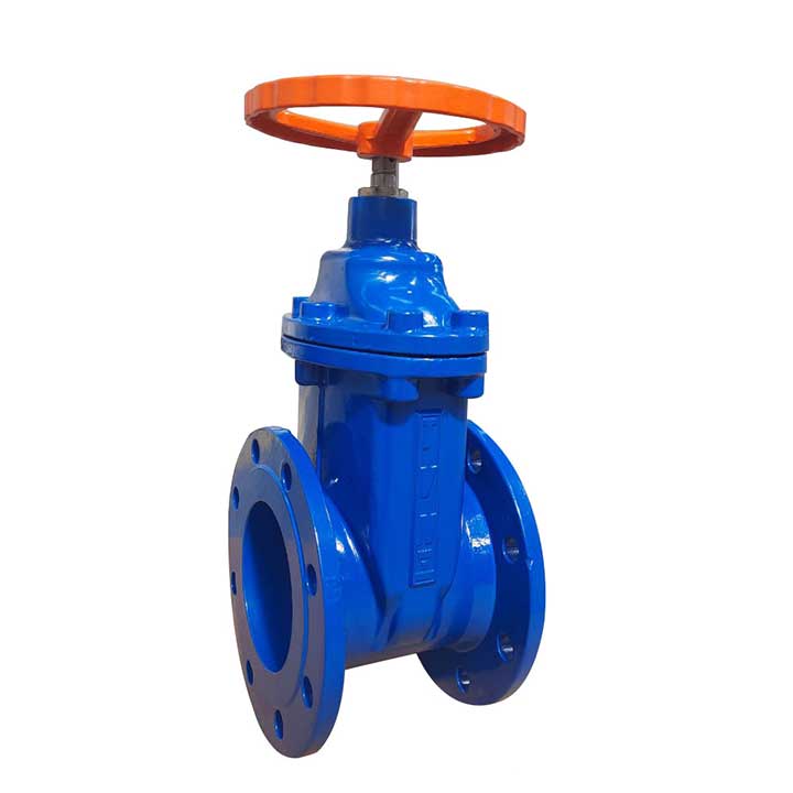 Resilient seated gate valve